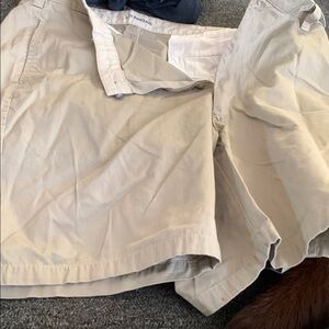 Light Khaki Casual Shorts st John’s bay 40